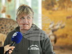 Вършец - Палеопарк