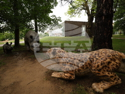 Вършец - Палеопарк