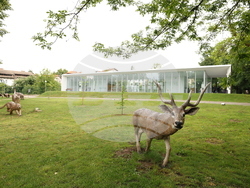 Вършец - Палеопарк