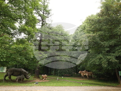 Вършец - Палеопарк