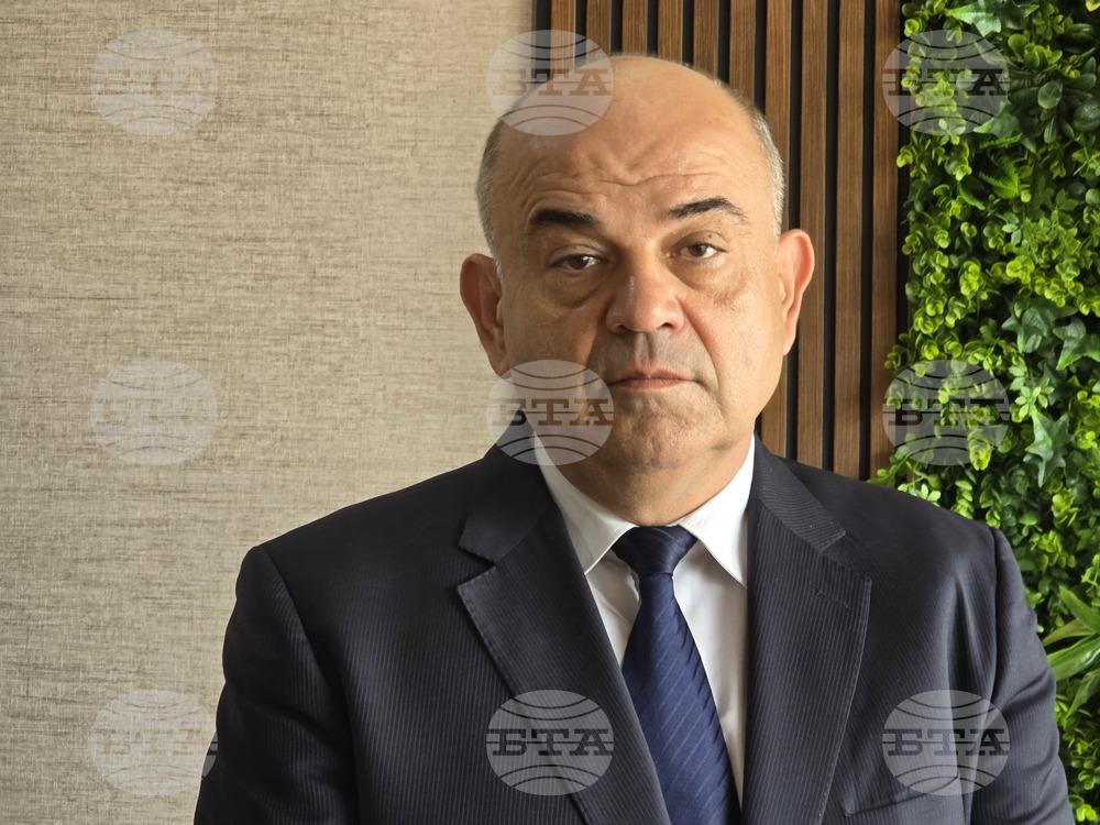 Food Market Is Stable, CEWMSC Chairman Says