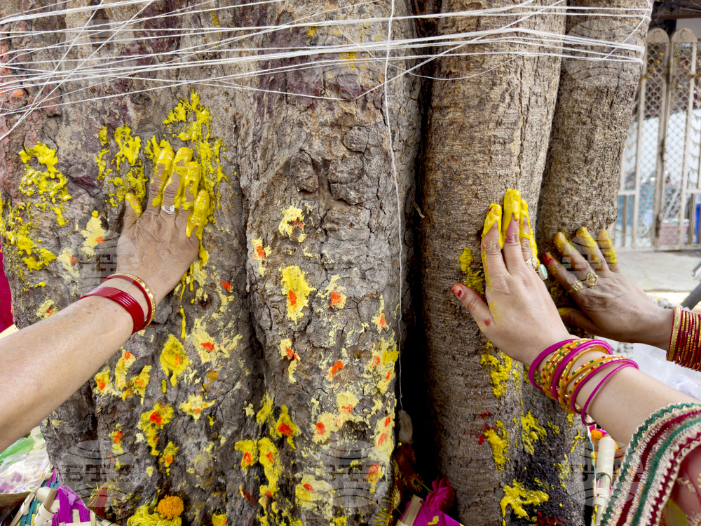 India Hindu Festival
