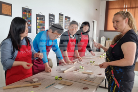 Село Маноле - южнокорейски журналисти - посещение