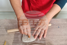 Село Маноле - южнокорейски журналисти - посещение