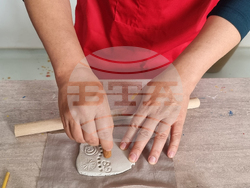 Село Маноле - южнокорейски журналисти - посещение