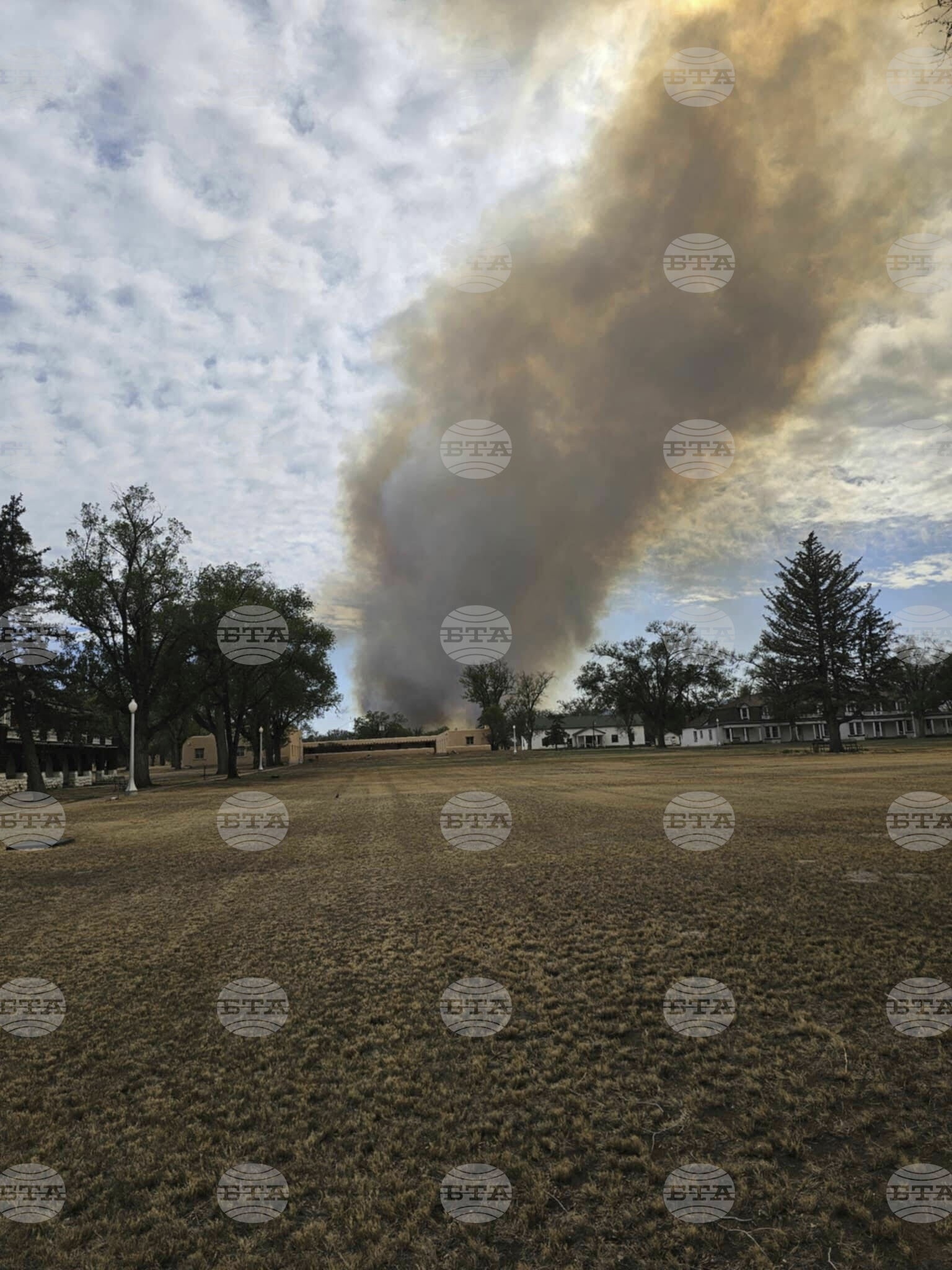 Wildfires