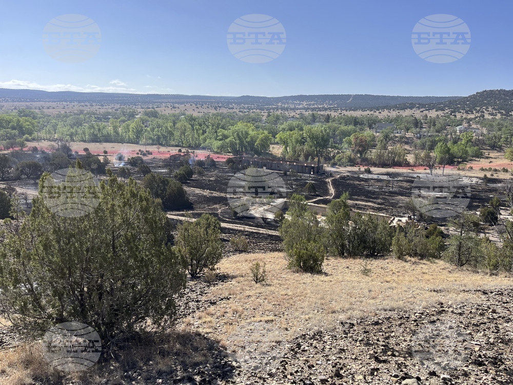 Wildfires