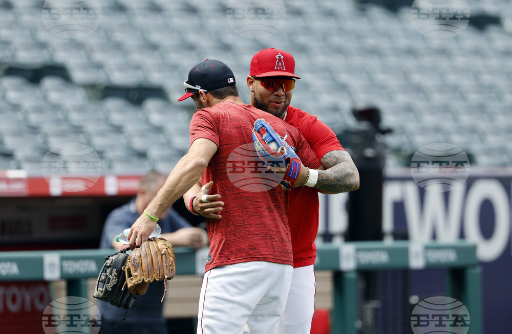 Yankees Angels Baseball