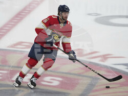 Hurricanes Panthers Hockey