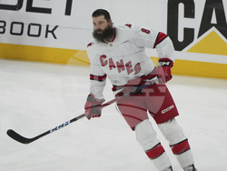 Hurricanes Panthers Hockey