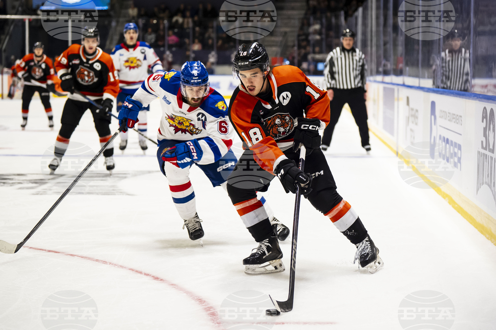 Memorial Cup Hockey