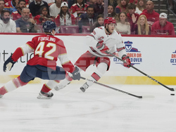 Hurricanes Panthers Hockey