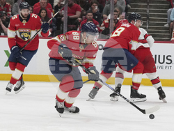 Hurricanes Panthers Hockey