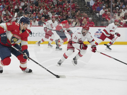 Hurricanes Panthers Hockey