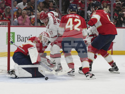 Hurricanes Panthers Hockey