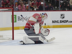 Hurricanes Panthers Hockey