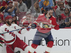 Hurricanes Panthers Hockey