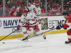 Hurricanes Panthers Hockey