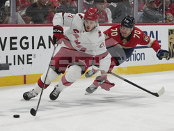 Hurricanes Panthers Hockey