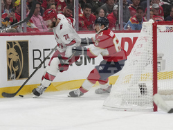 Hurricanes Panthers Hockey