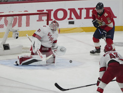 Hurricanes Panthers Hockey