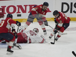 Hurricanes Panthers Hockey