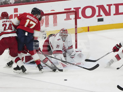 Hurricanes Panthers Hockey