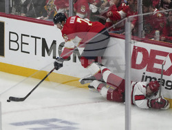 Hurricanes Panthers Hockey