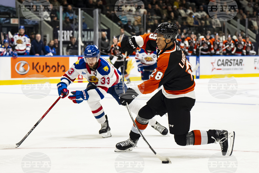 Memorial Cup Hockey