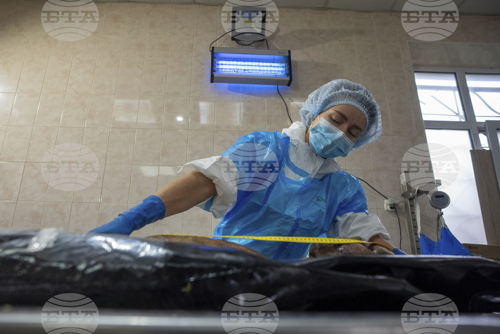 Ukrainian POWs Dying in Prison