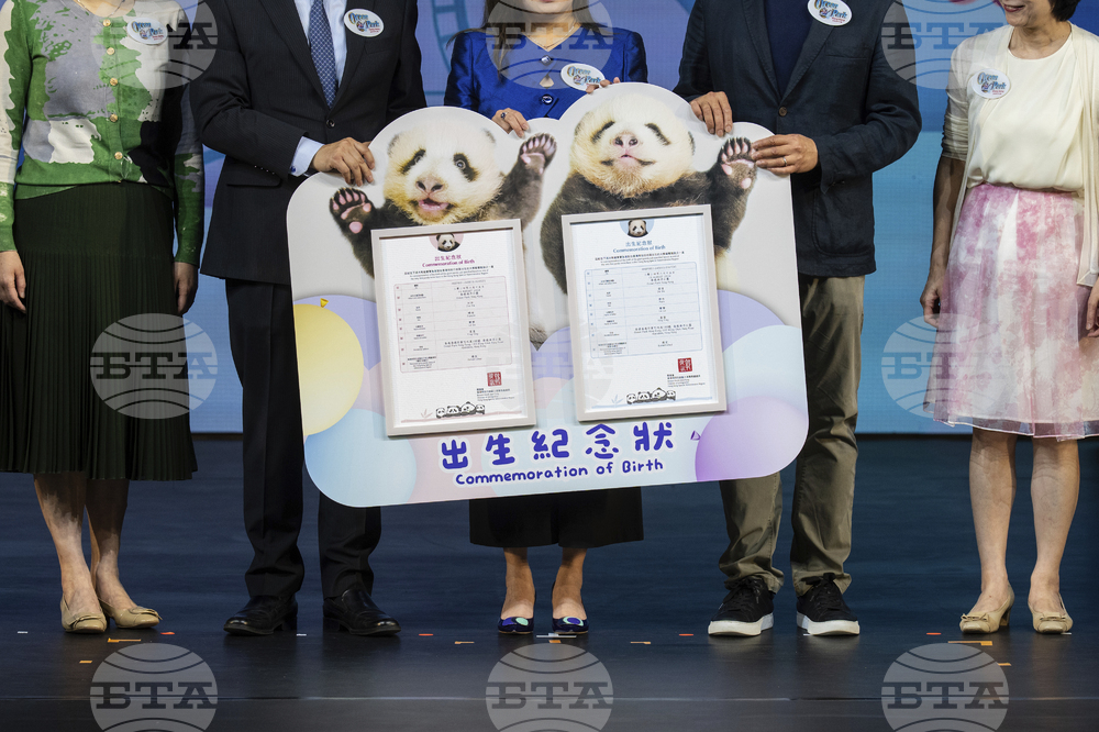 Hong Kong Pandas