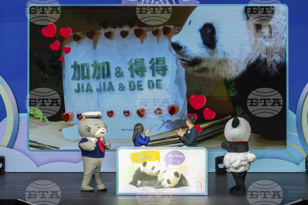Hong Kong Pandas