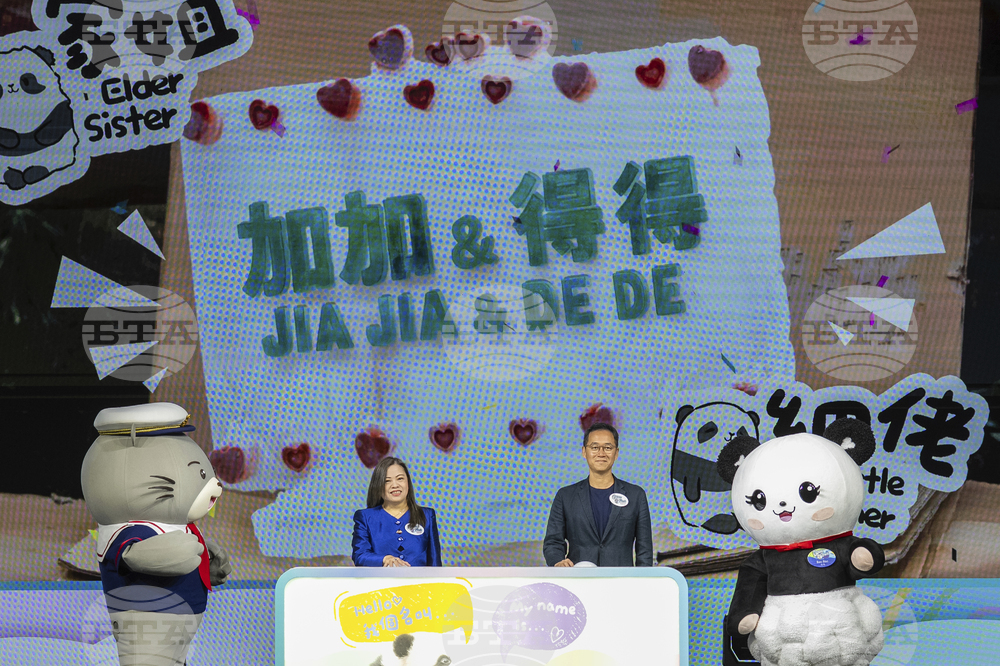 Hong Kong Pandas