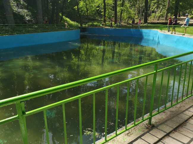 Зарибяване на езерото в парка "Кьошковете" започва днес, съобщиха от пресцентъра на Община Шумен