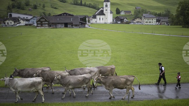 Швейцарският хотелиерски сектор с рекордна посещаемост и над 25 млн. нощувки от май до октомври 
