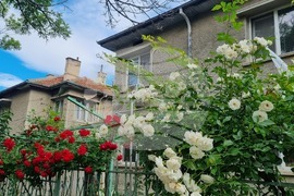 Търговище – рози – пролет