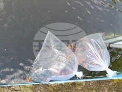 Снимка: Община Шумен