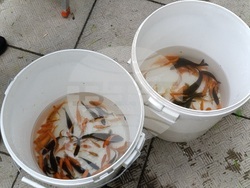 Снимка: Община Шумен