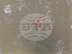 Снимка: Община Шумен