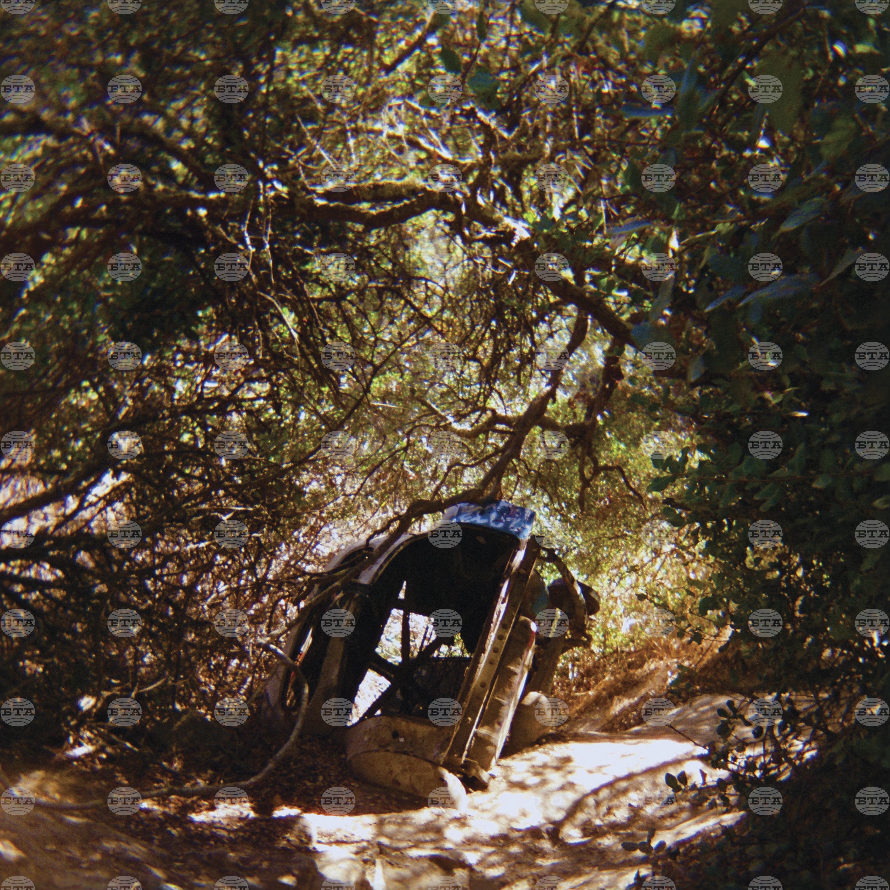 Music Review - Ty Segall