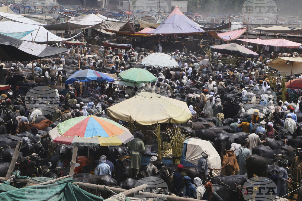 Pakistan Eid al-Adha