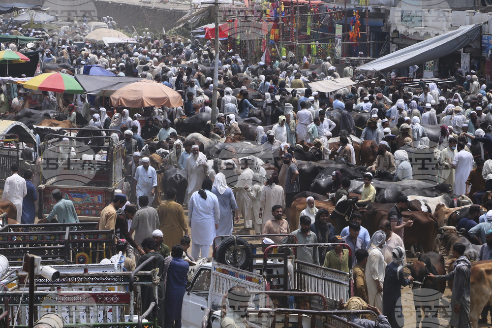 Pakistan Eid al-Adha