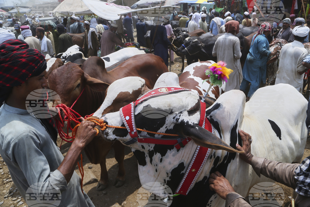 Pakistan Eid al-Adha