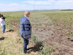 Снимка: Министерството на земеделието и храните