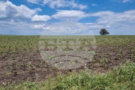 Село Бял кладенец - оглед - щети