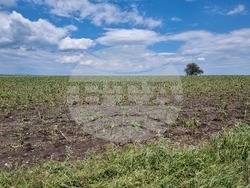 Село Бял кладенец - оглед - щети