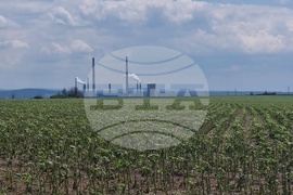 Село Бял кладенец - оглед - щети