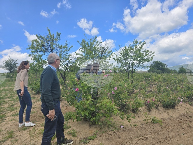 Преподаватели от университета във Флоренция посетиха Пазарджик и Стрелча в рамките на международния проект за развитие на устойчив туризъм 