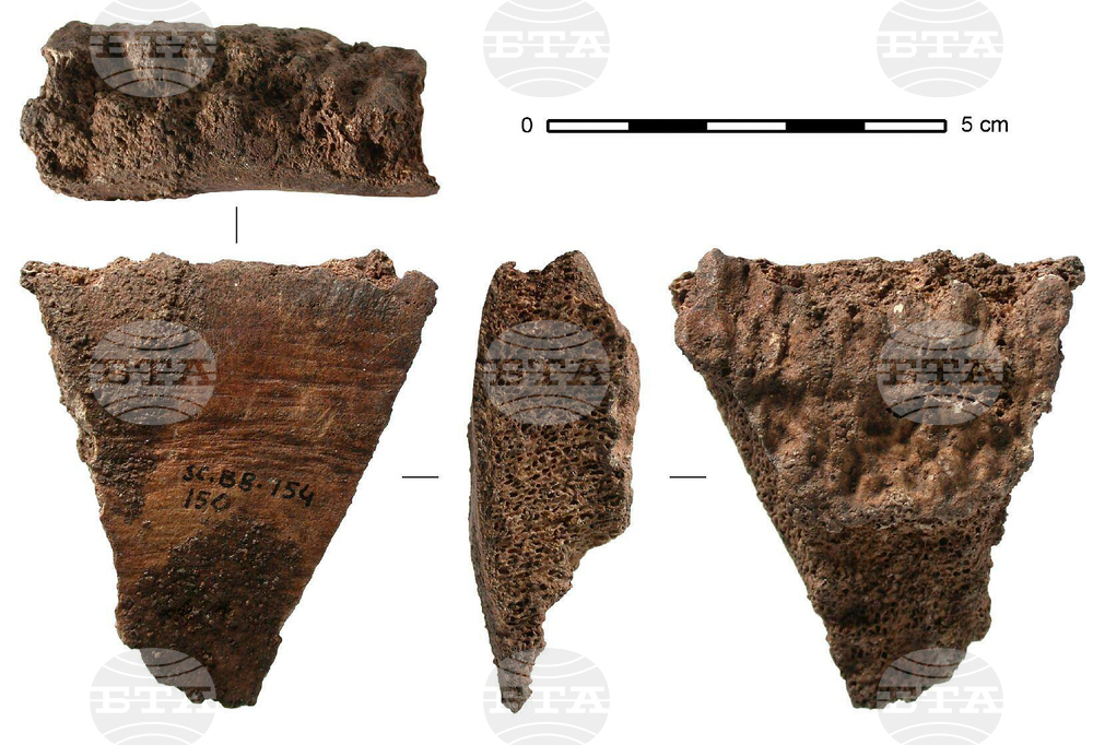 Whale Bone Tools