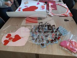 община Разград - Ученици от три гимназии участваха в превантивна кампания в Деня на влюбените 14 февруари 